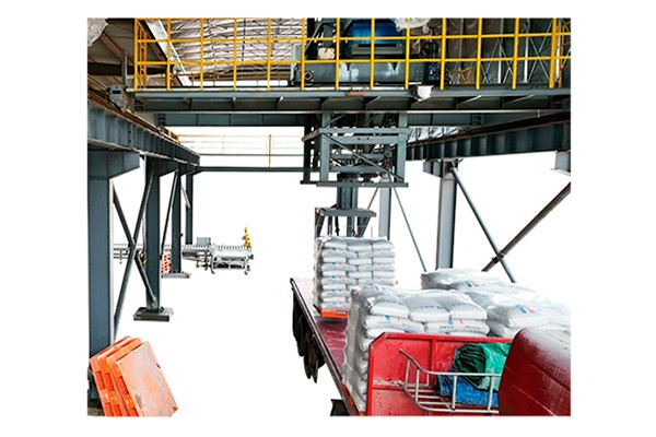 托盤全自動裝車機